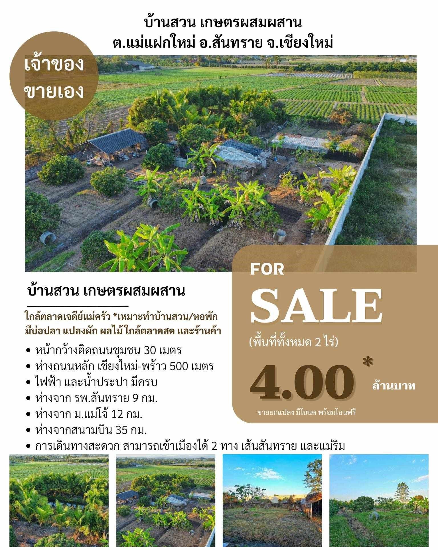 DD-0198 ขายที่ดินถมแล้วจัดสรรในชุมชน หลังตลาดเจดีย์แม่ครัว (ทำเป็นสวนไร่ผสม) 2 ไร่ แม่แฝกใหม่ สันทราย