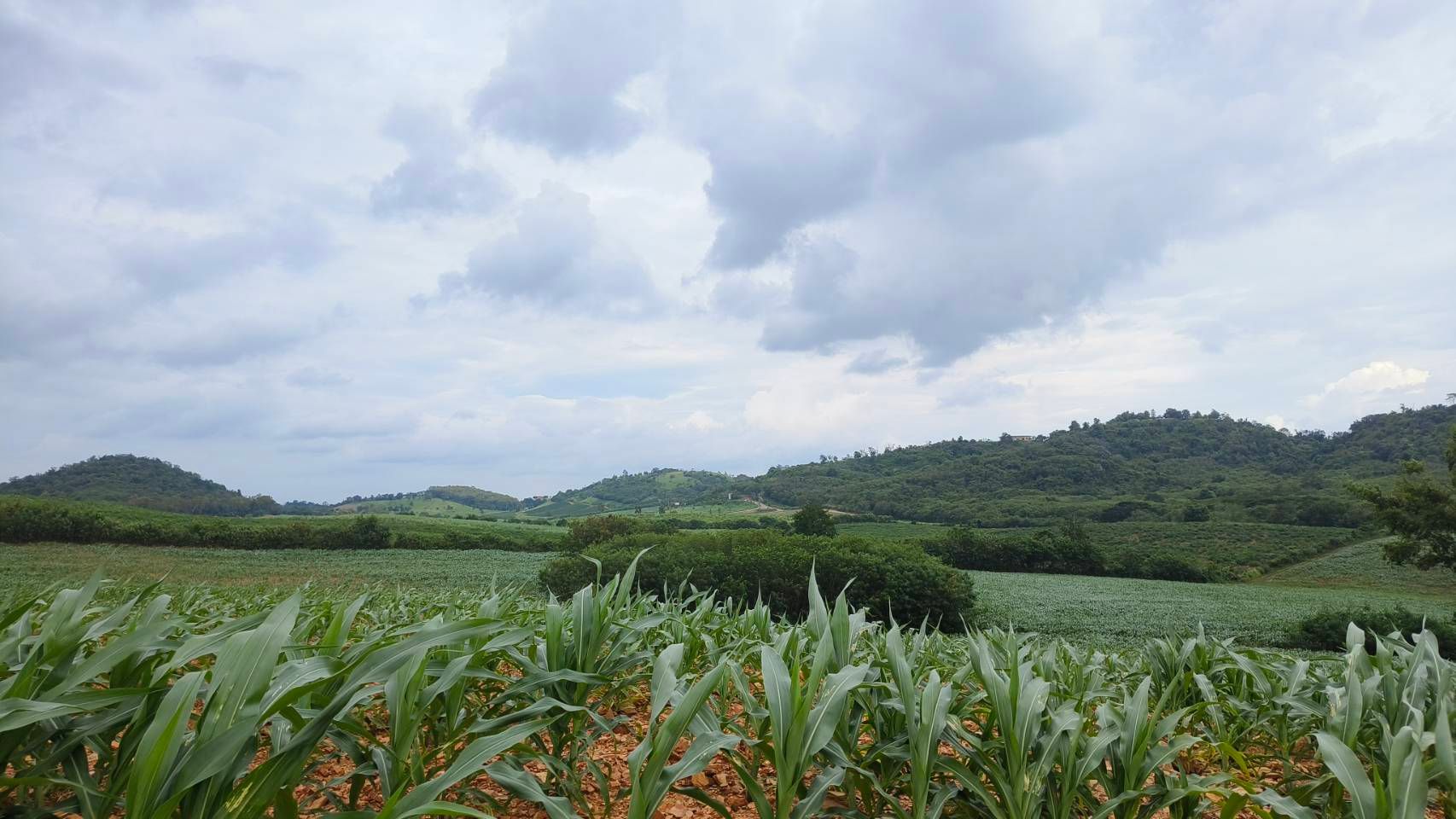 ที่ดินเขาใหญ่ แปลงสวยวิวเขา 64 ไร่ บนเนิน สูง 469 m.
