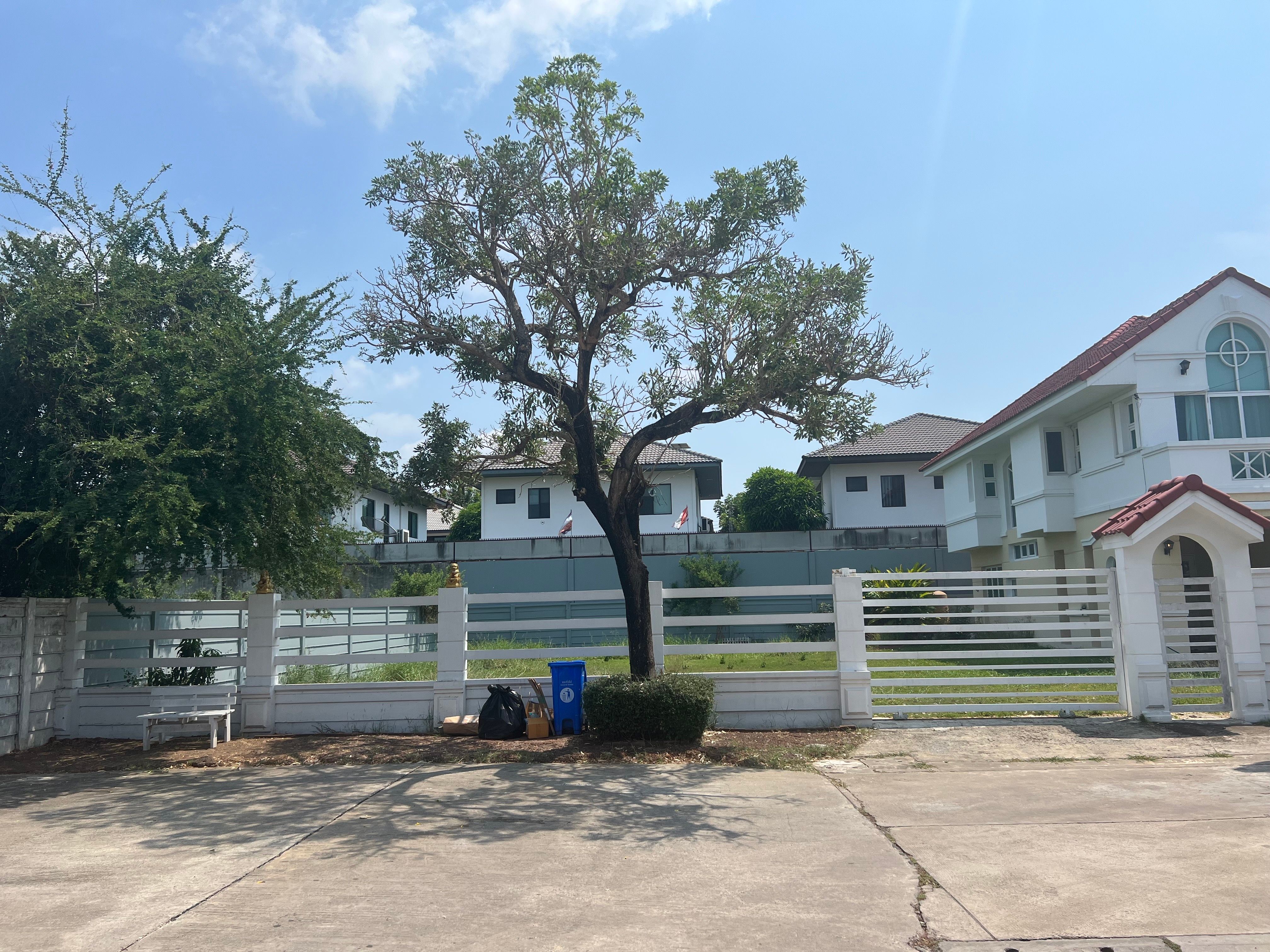 ขายที่ดิน 101 ตร.ว. สำหรับปลูกบ้าน พร้อมใบอนุญาตและแบบก่อสร้าง แบบบ้านโมเดิร์น+สระว่ายน้ำ