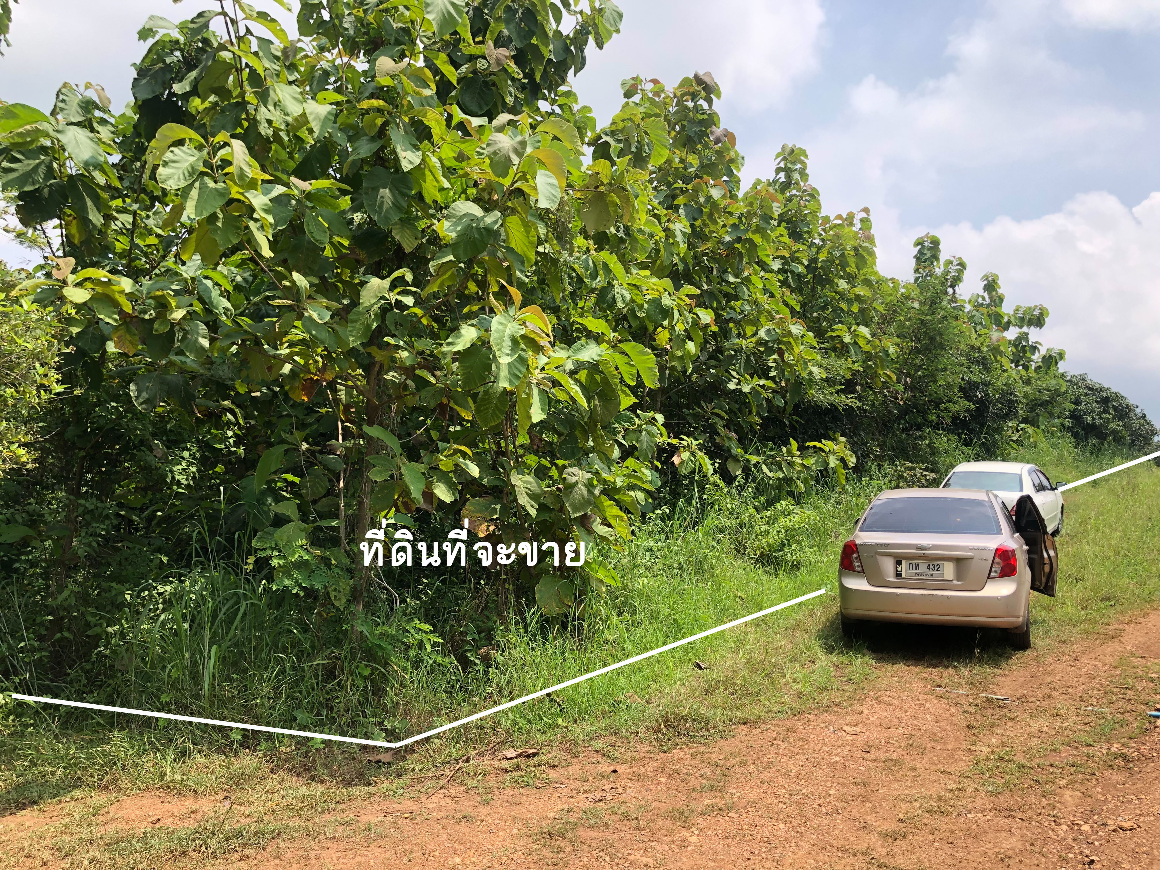 ขายที่ดิน อ.หนองไผ่ จ.เพชรบูรณ์ 2-0-48
