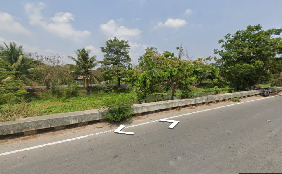 ที่ดินแปลงยาว หนองเสือ ปทุมฯ 50-0-0