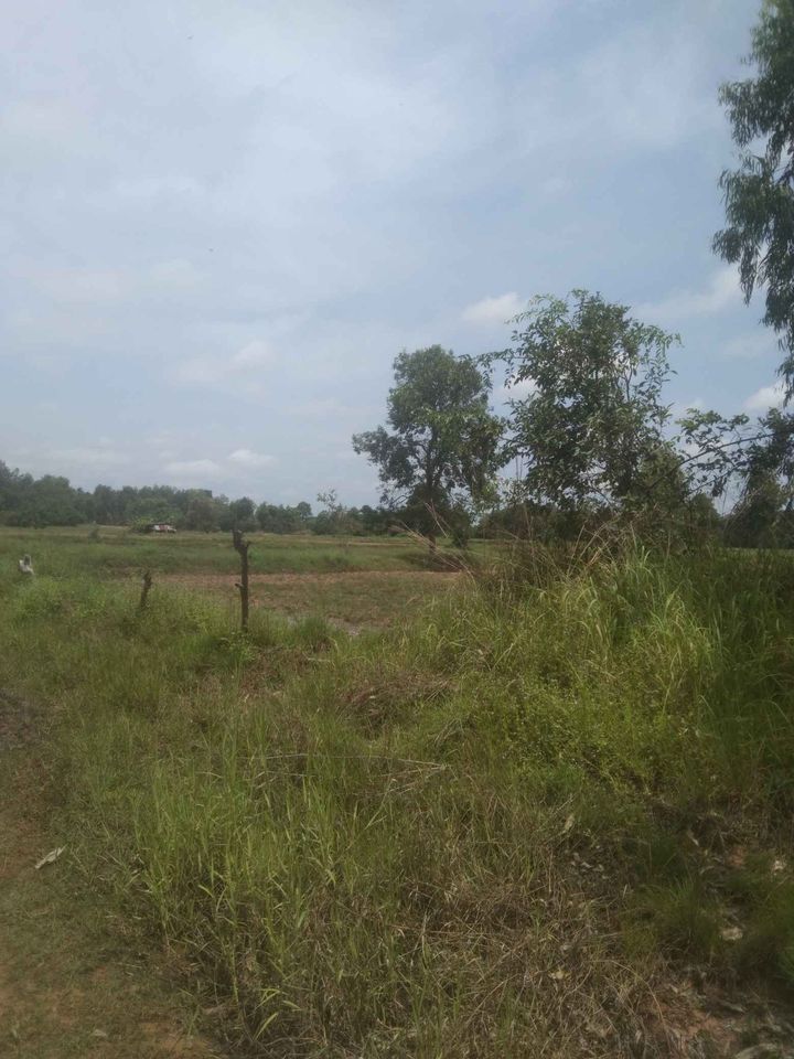 ที่ดินติดถนนทางหลวง 226 วาริน 19-1-99.7