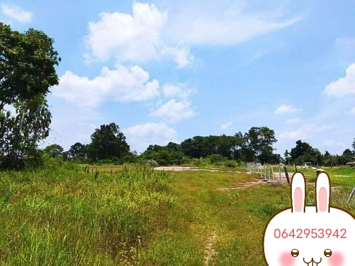 ที่ดินทำเลทอง หลัง ม.ราชภัฏชัยภูมิ 9-0-50