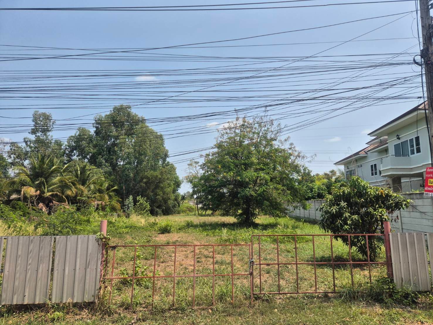ขายที่ดิน อุดรธานี หมูม่น 1-0-21 ไร่