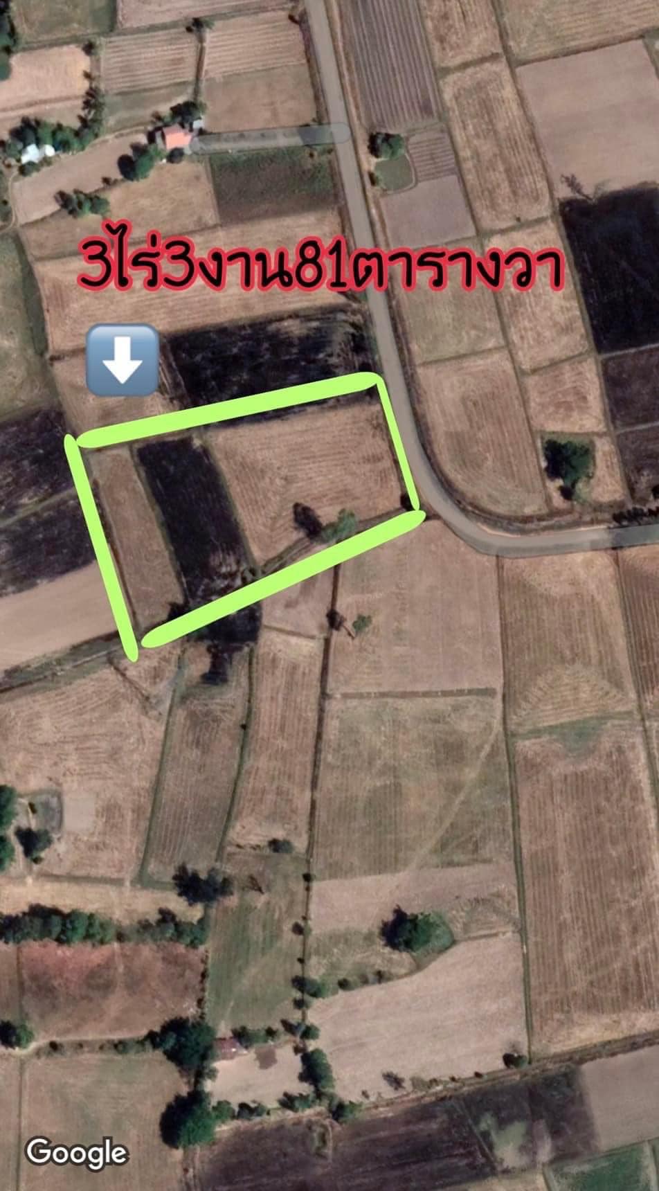 ขายที่ดิน ร้อยเอ็ด 3-3-81 ไร่
