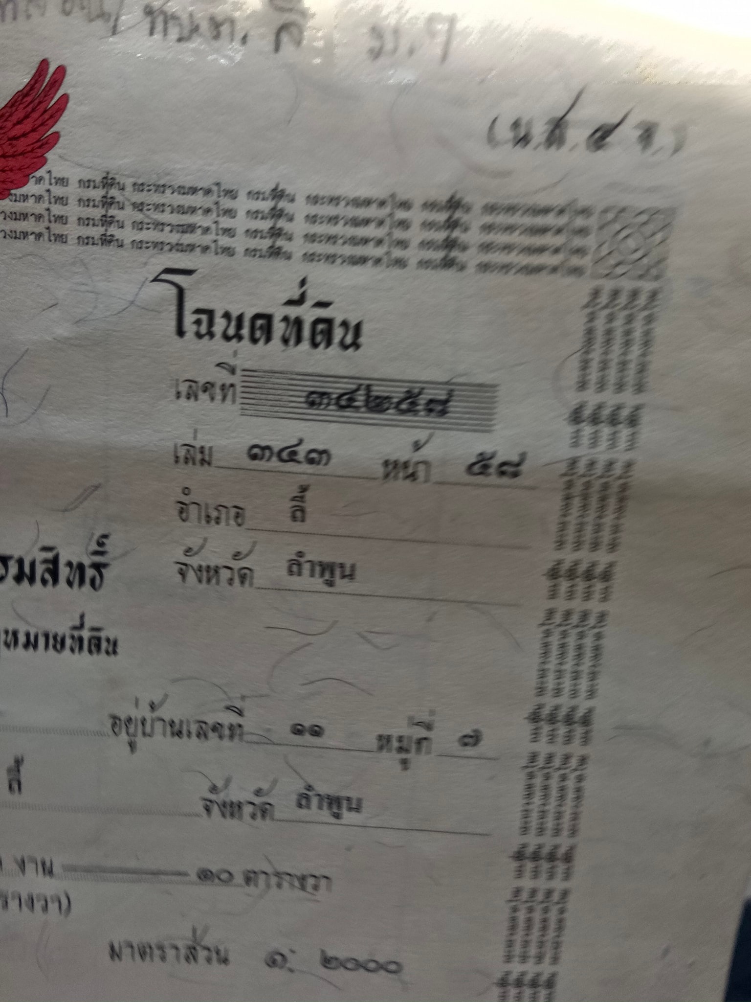 ที่ดินเปล่าติดถนนดำ ลี้ ลำพูน 0-3-10