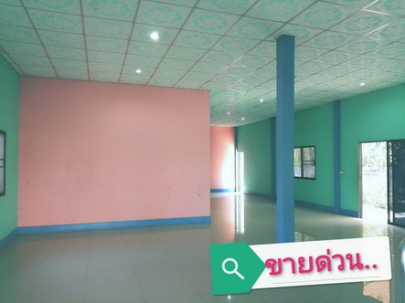 ที่ดินพร้อมอาคารบ้านเดี่ยว 1 ชั้น ภูเพียง น่าน