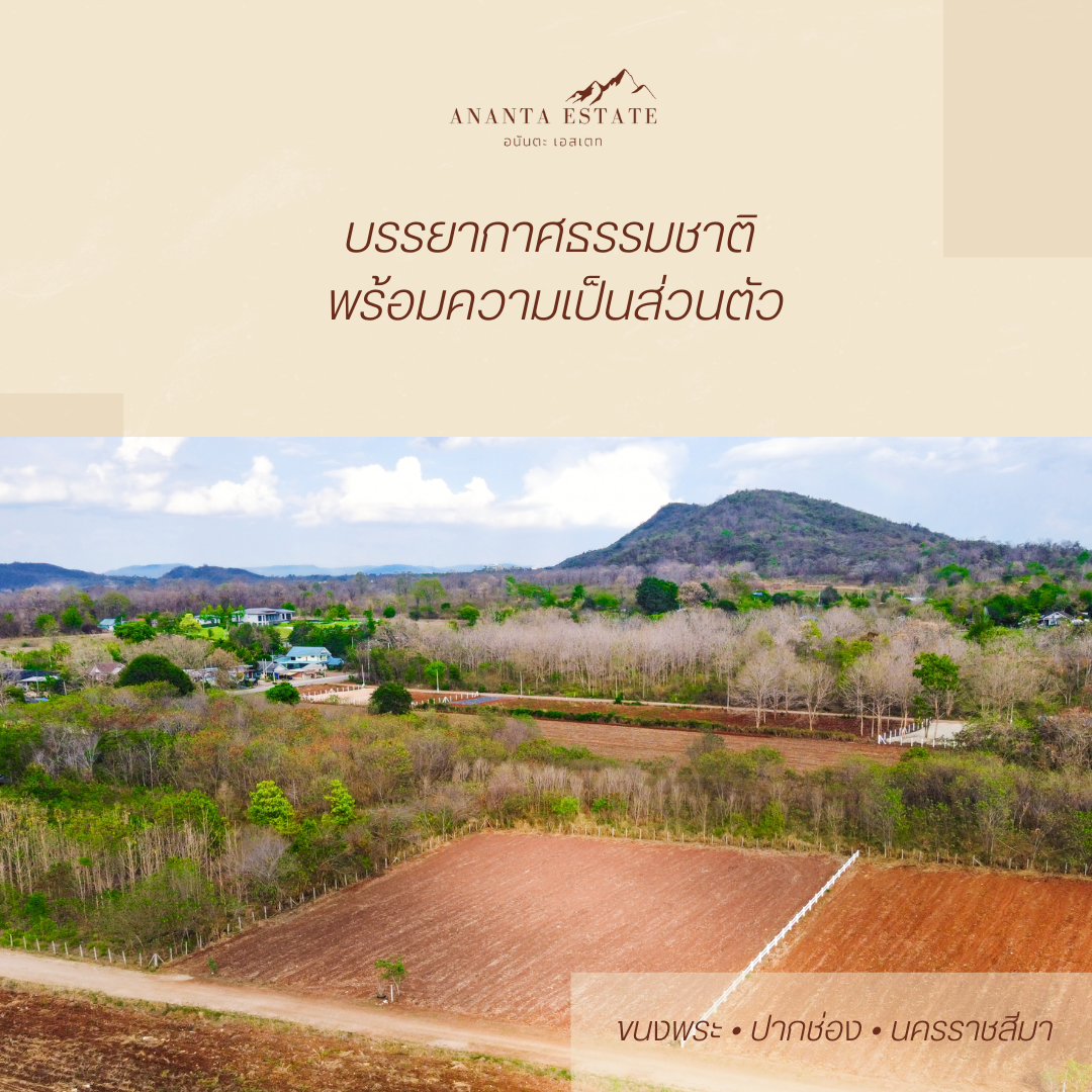 แบ่งขายที่ดิน 7 แปลง (รวม 7 ไร่) ต.ขนงพระ อ.ปากช่อง จ.นครราชสีมา (มีโฉนดครุฑแดงทุกแปลง พร้อมโอนทันที!)