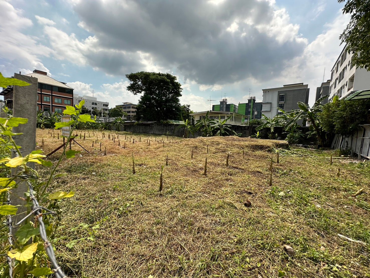ขายที่ดินกรุงเทพฯ เขตวังทองหลาง ที่ดิน แปลงสวย ลาดพร้าว ใกล้ สถานีรถไฟฟ้ามหาดไทย สายสีเหลือง