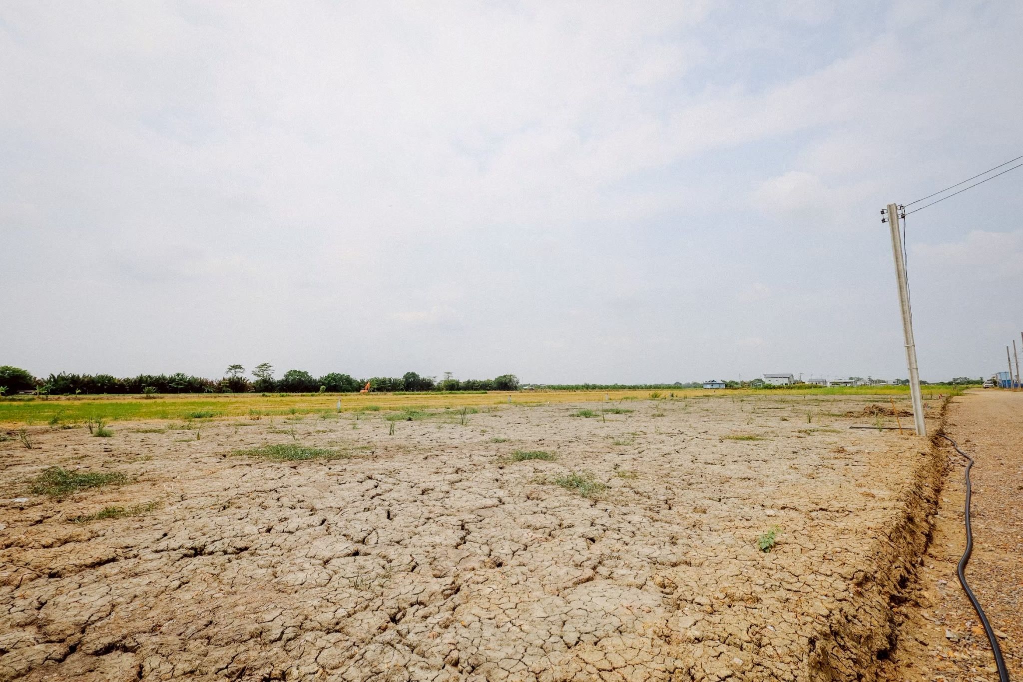 ที่สวย 100 ตรว ทำเลดี บรรบยากาศดี หนองจอก กรุงเทพ