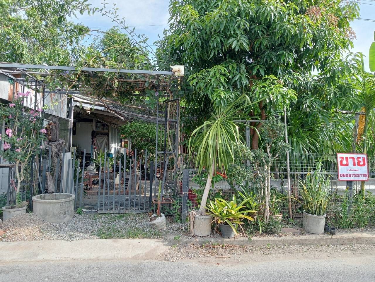 ขายที่ดินยะลา ที่ดินสวย ทำเลดี กลางเมืองยะลา แหล่งอำนวยความสะดวกรอบด้าน เดินทางคล่องตัว 0-0-50.6 ไร่.