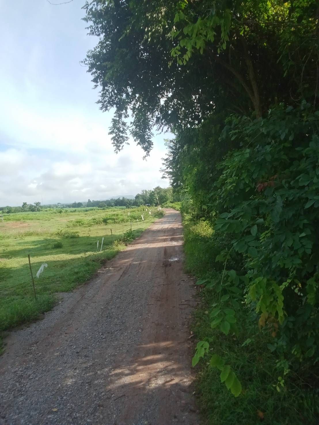 ขายที่ดิน วิวภูเขา เหมาะทำบ้านพักตากอากาศ