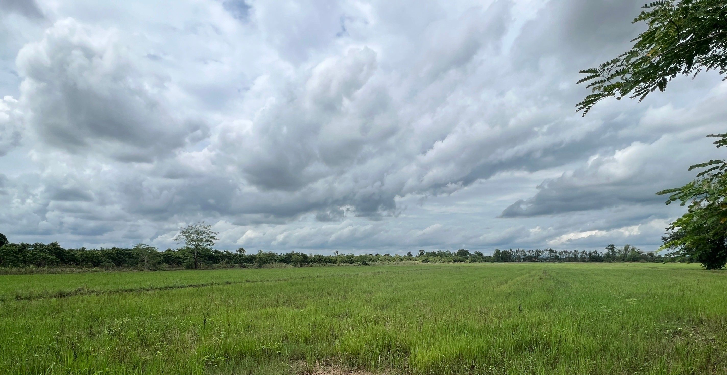 ขายที่ดิน