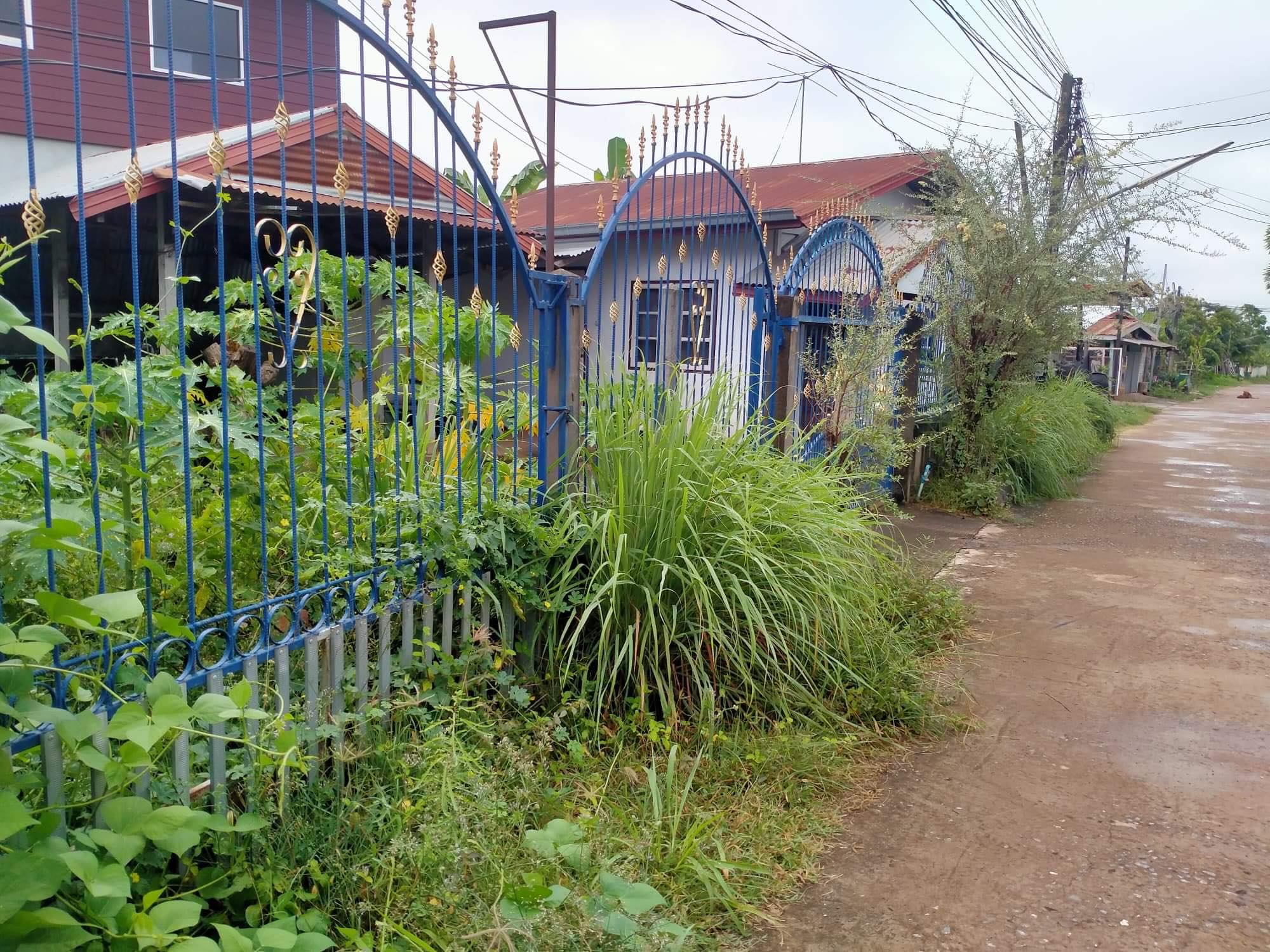 บ้านพร้อมที่ดิน เมืองอุดรธานี 0-0-49