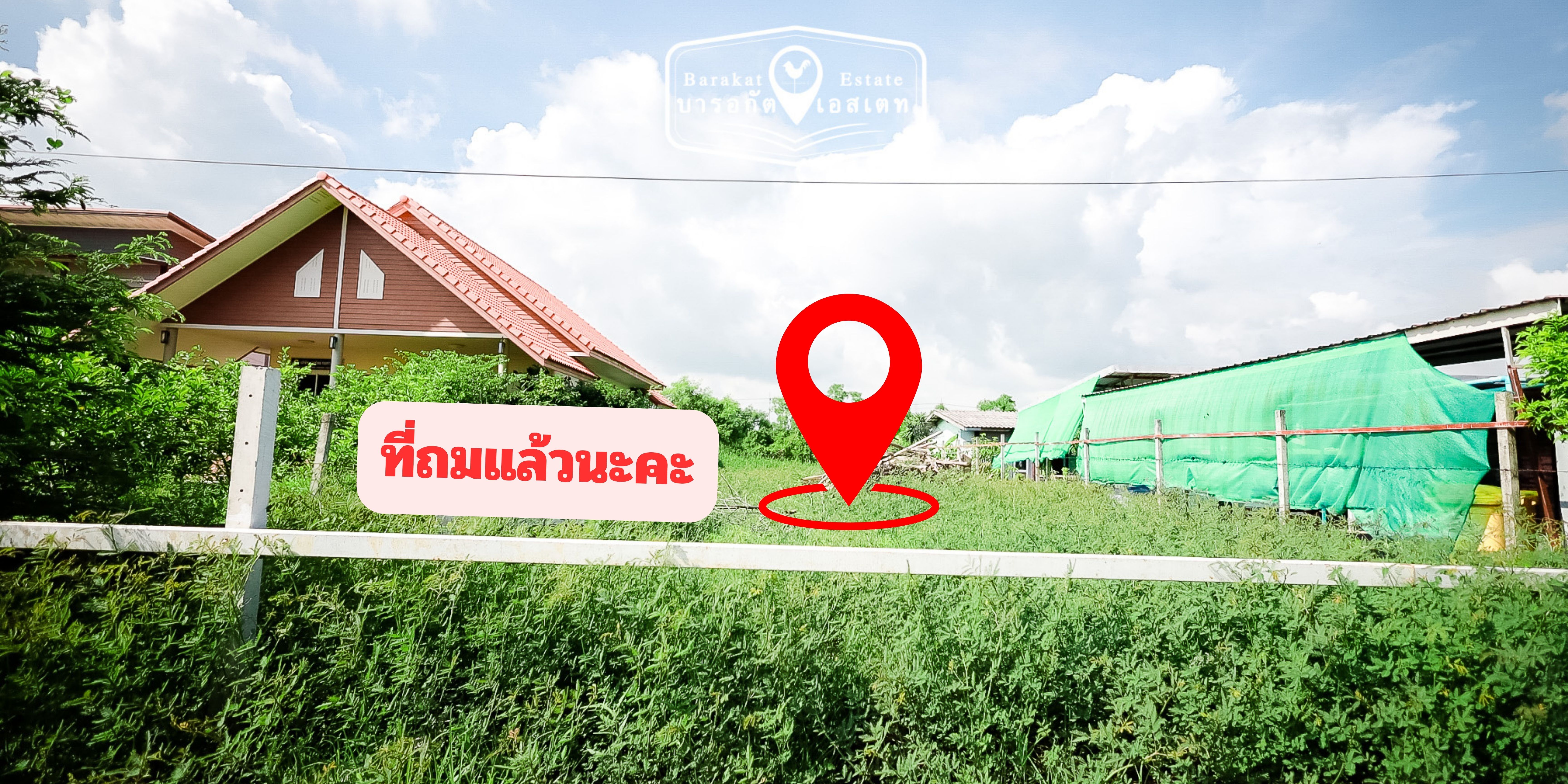  ลดราคากันสุดๆ แปลงสวย แปลงเล็ก ฟรีภาษีการโอน