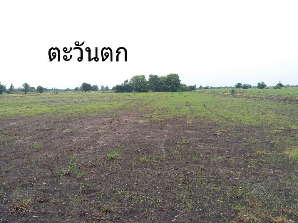ขายที่ดินลพบุรี อ.บ้านหมี่ 17-0-55 ไร่