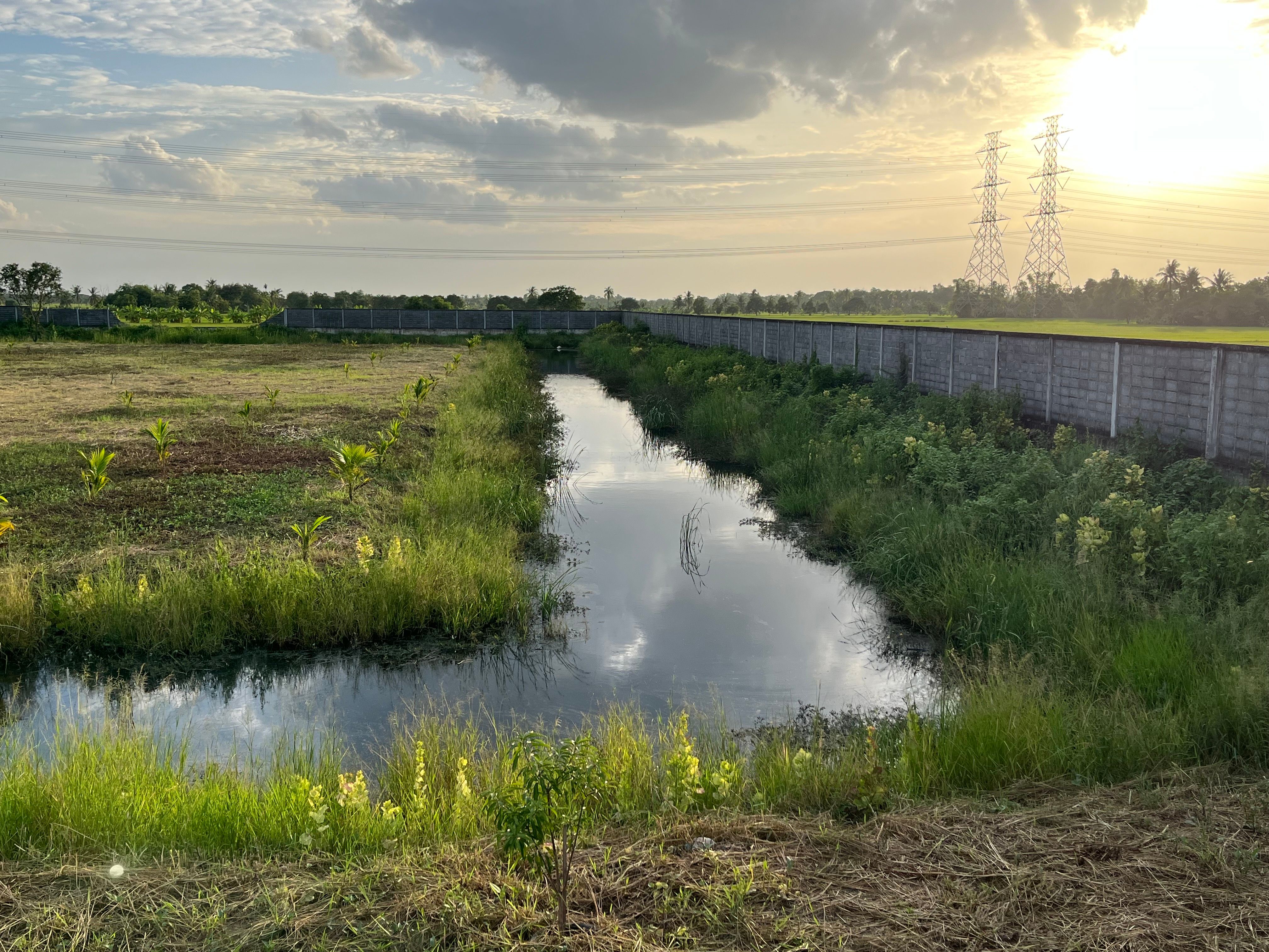 🌿 Land for sale in a fast-developing zone, by owner, title deed ready to transfer, no mortgage