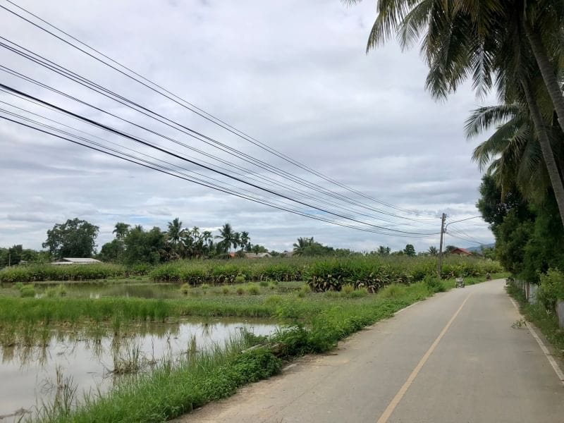 ขายที่ดิน บ้านทุ่งยาว 7ไร่ 3งาน 90ตารางวา