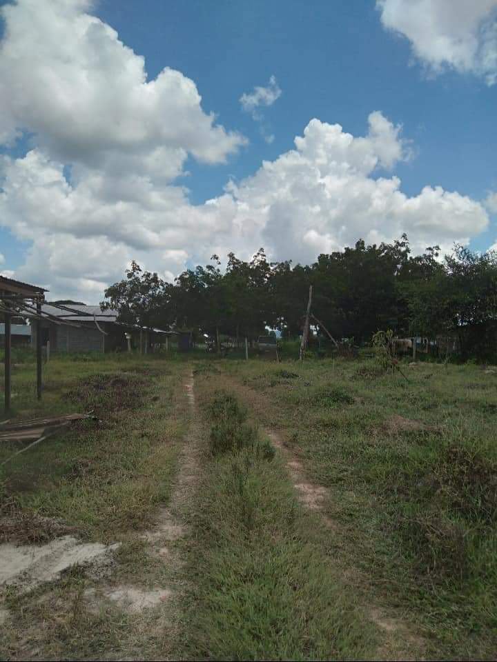ขายที่ดินกาฬสินธุ์ สหัสขันธุ์ 1 ไร่