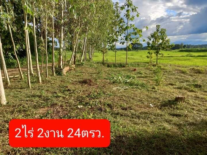 ที่ดิน ที่นา พะเยา 2-2-24