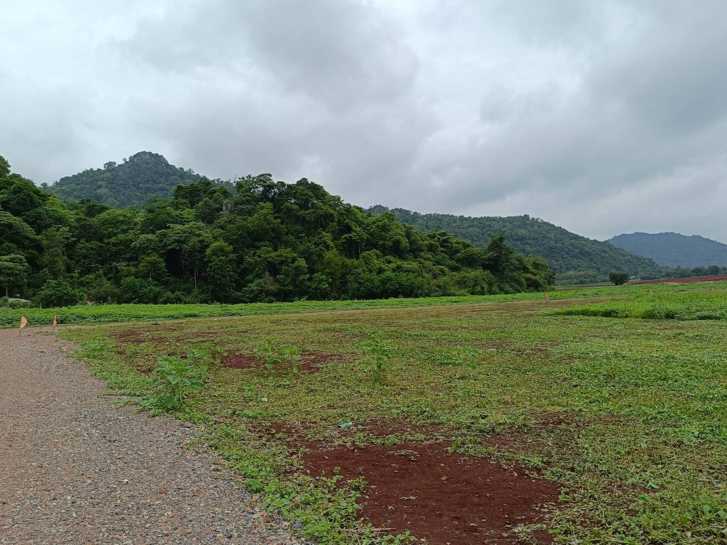 ขายที่ดินลพบุรี พัฒนานิคม ที่ดินแปลงสวยแบ่งขาย บรรยากาศดี ราคานี้ หายาก!! 
