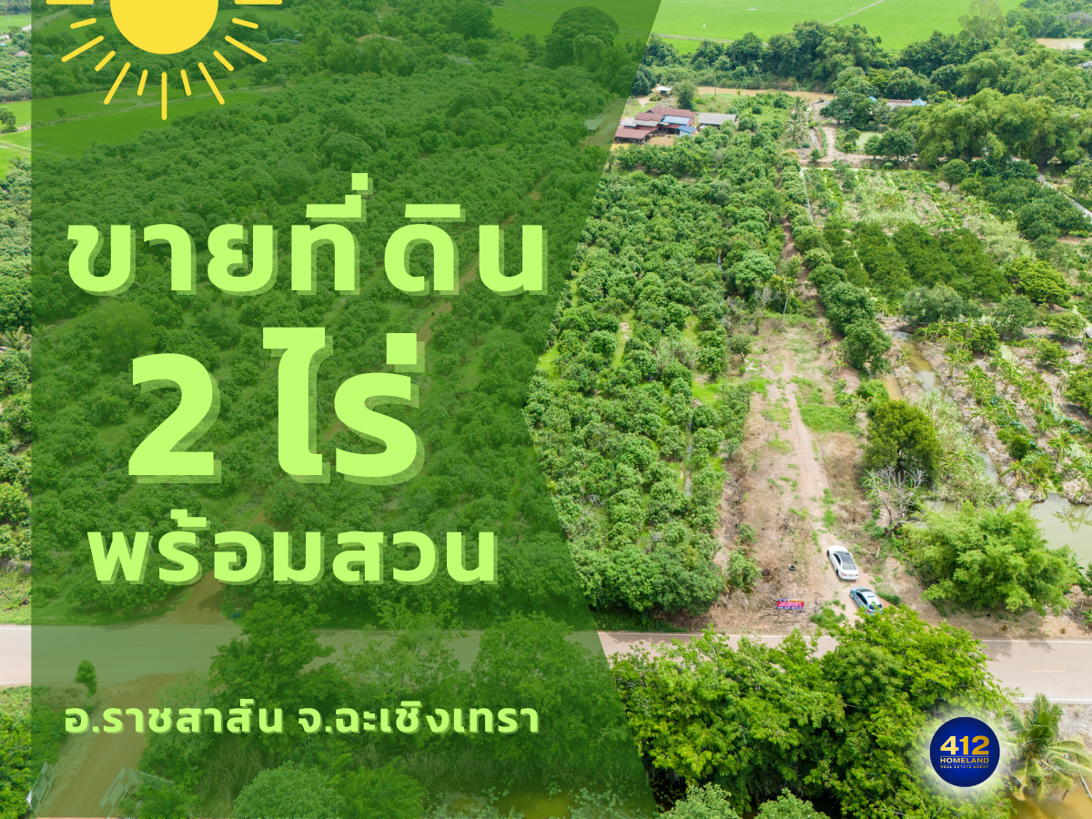 ขายที่ดิน 2 ไร่พร้อมสวน บรรยากาศดี น้ำ-ไฟพร้อม ต.เมืองใหม่ อ.ราชสาส์น จ.ฉะเชิงเทรา 