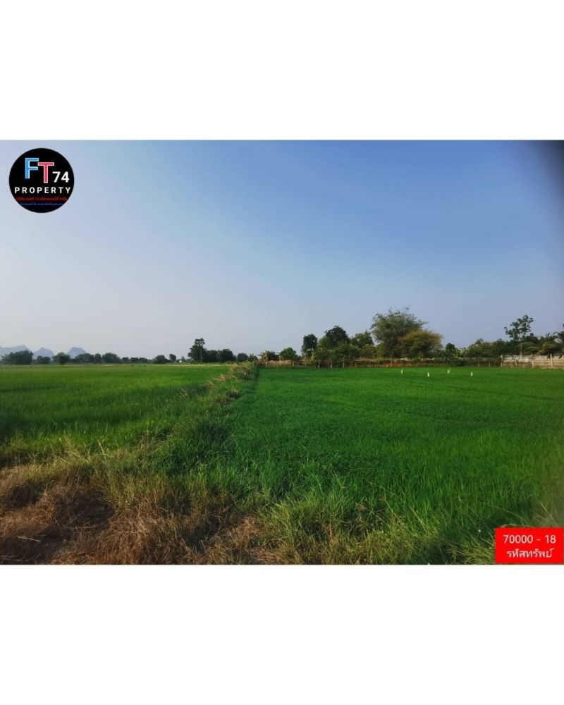 70000-18 ขายที่ดินแปลงสวย ท่ามกลางธรรมชาติ