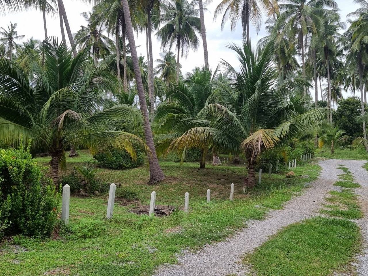 ขายที่ดินติดทะเลทำเลทองใจกลางย่านโรงแรมและรีสอร์ท