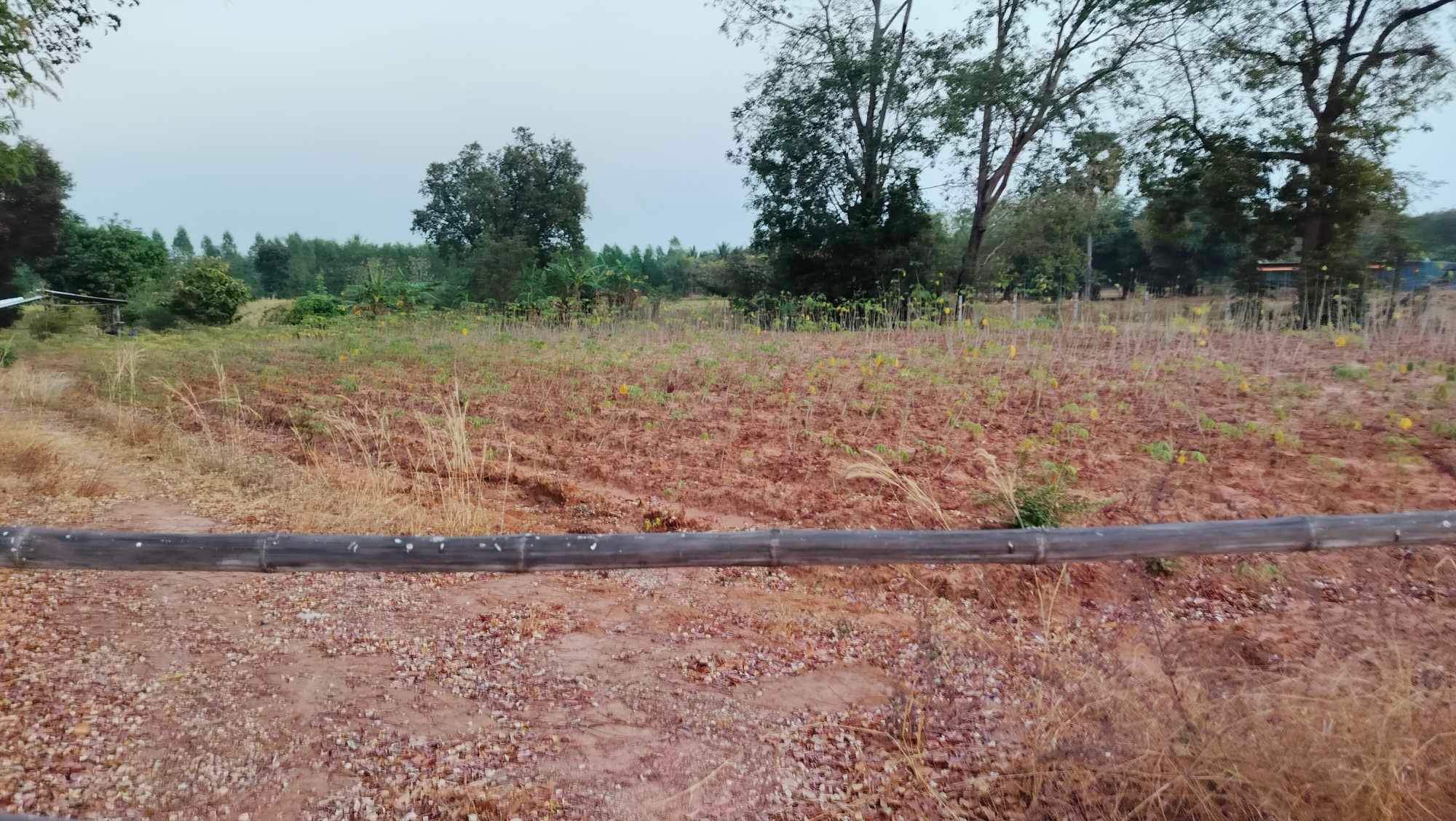 ขายที่ดิน บ้านโนนแดง
