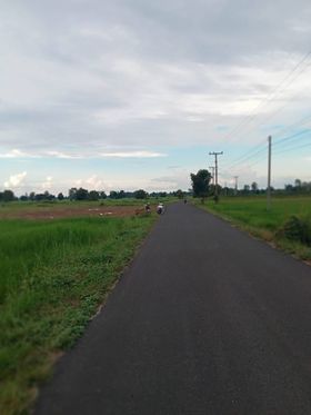 ขายที่ดินศรีสะเกษ ศรีรัตนะ 6-2-16