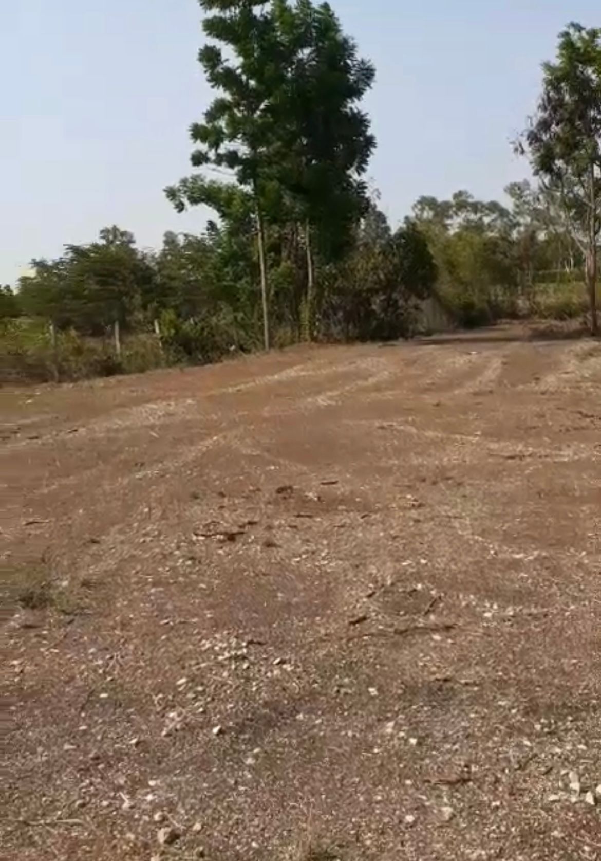 ขายที่ดินสระแก้ว อรัญประเทศ หมู่บ้านไทยสามารถ