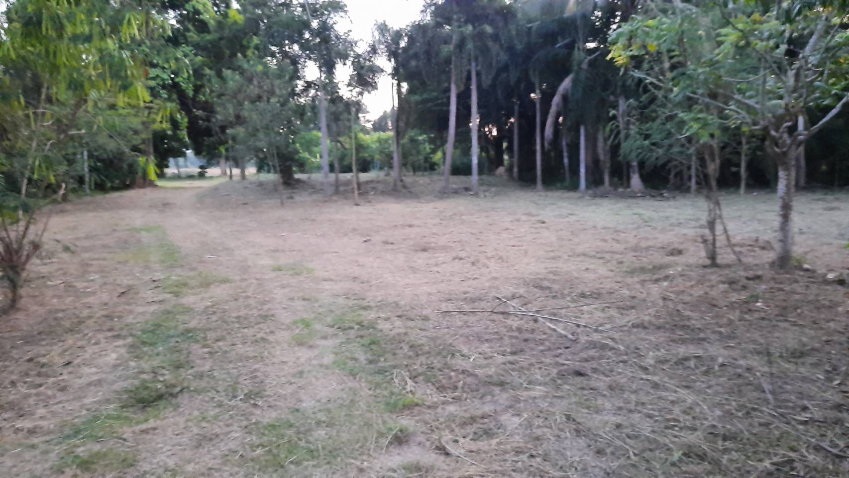 ขายที่ดินสวนผลไม้ติดแม่น้ำเพชรบุรี