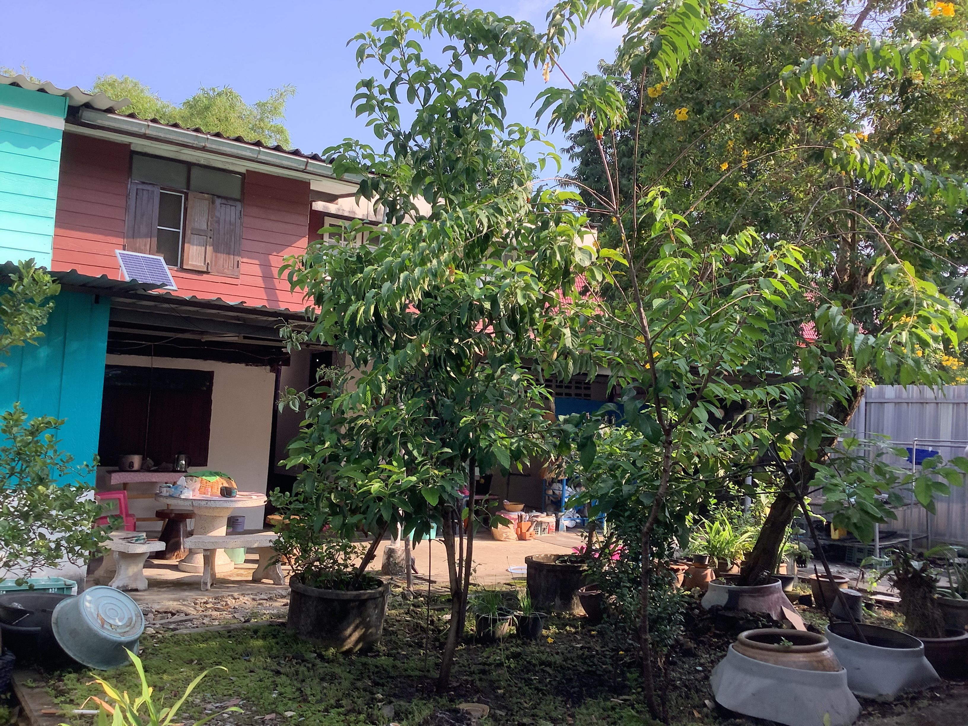 ขายที่ดินพร้อมบ้านไม้ อยู่เขตบางซื่อ เข้าได้หลายเส้นทาง