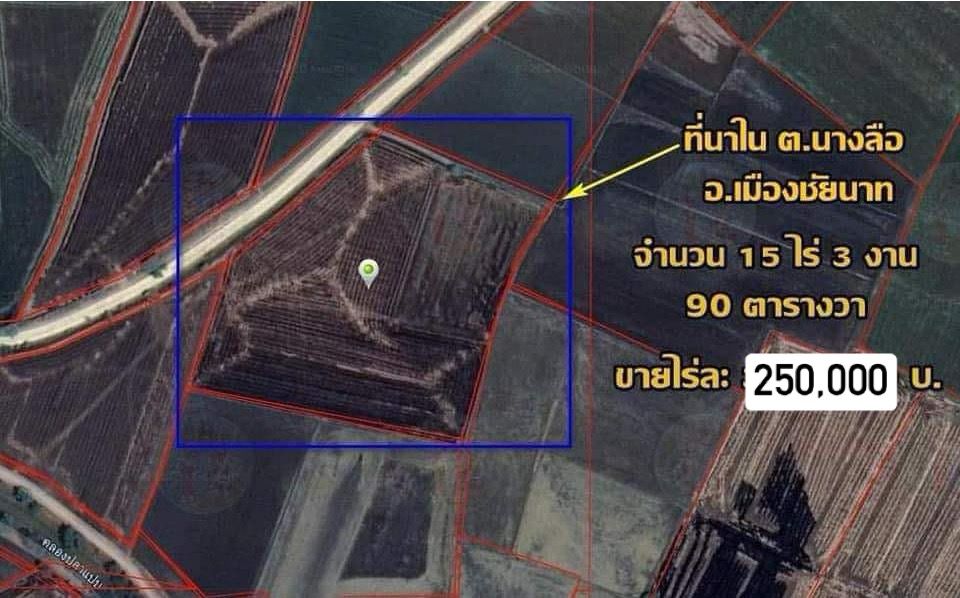 ขายที่ดินชัยนาท อำเภอเมือง ที่ดินเปล่า