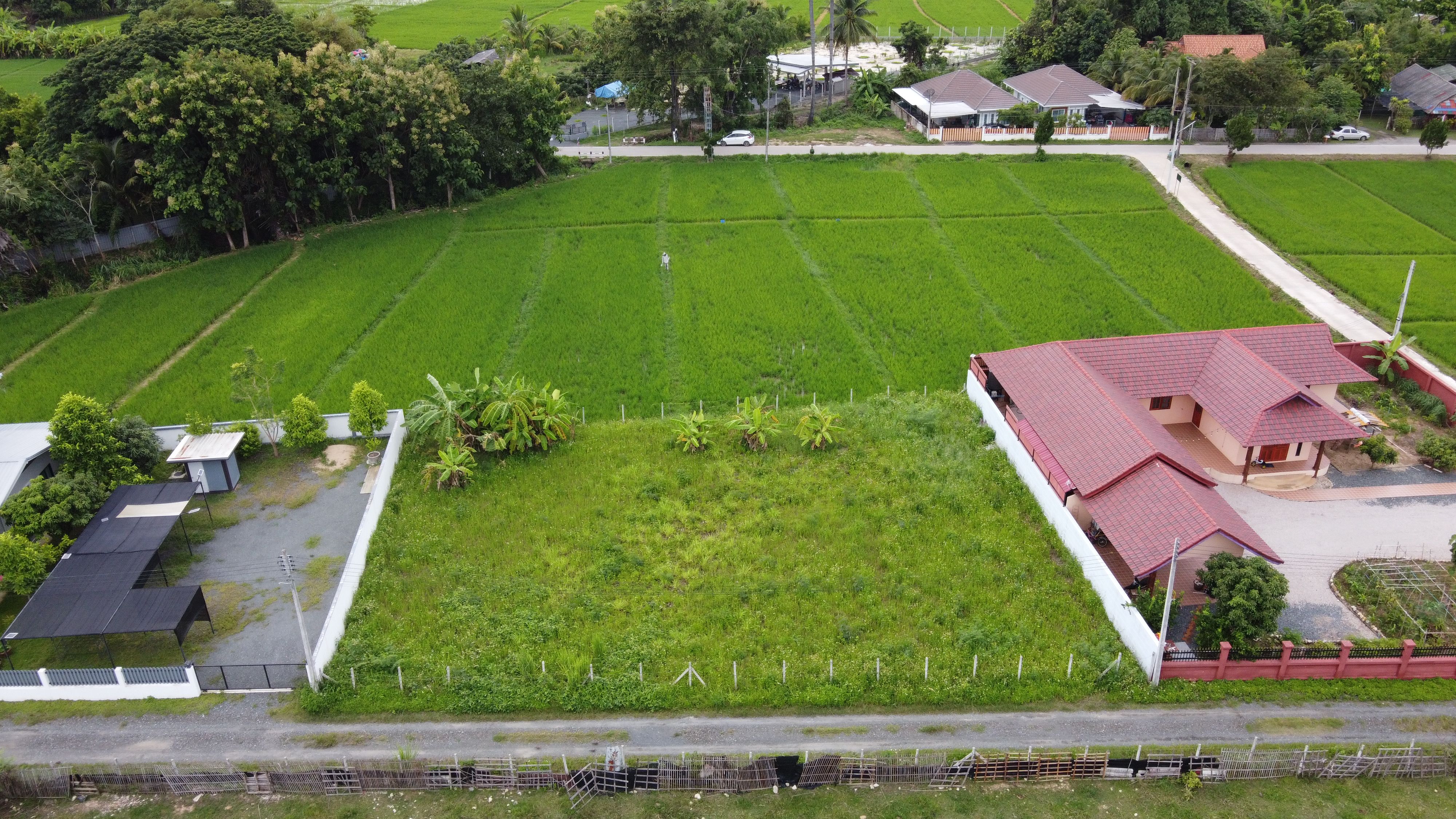 ขายที่ดิน 211 ตร.ว. (ใกล้ถนนตัดใหม่ 500 เมตร สาธารณูปโภคครบ)