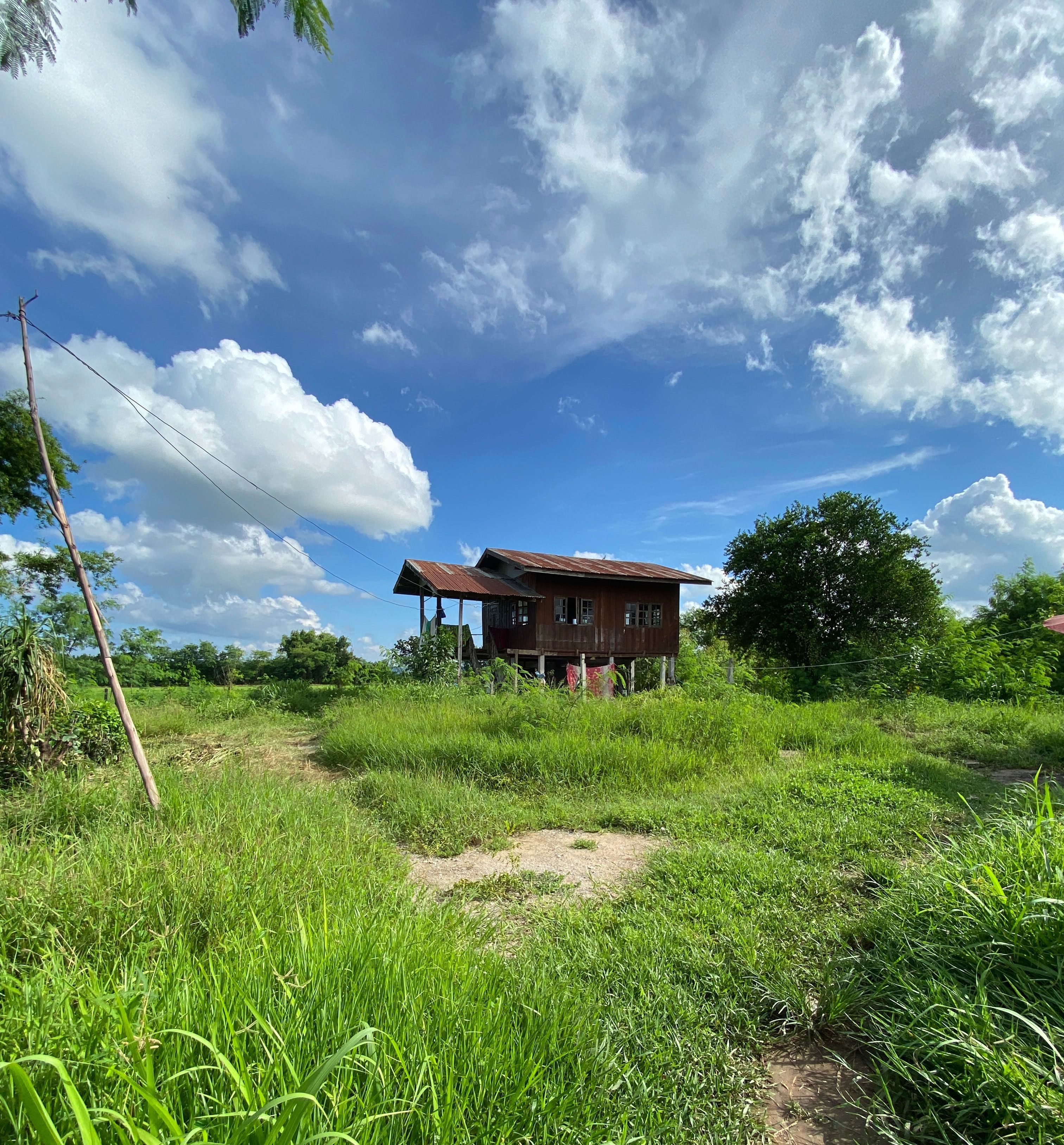 ขายที่ดินเพชรบูรณ์ บึงสามพัน บ้านพร้อมที่ดิน