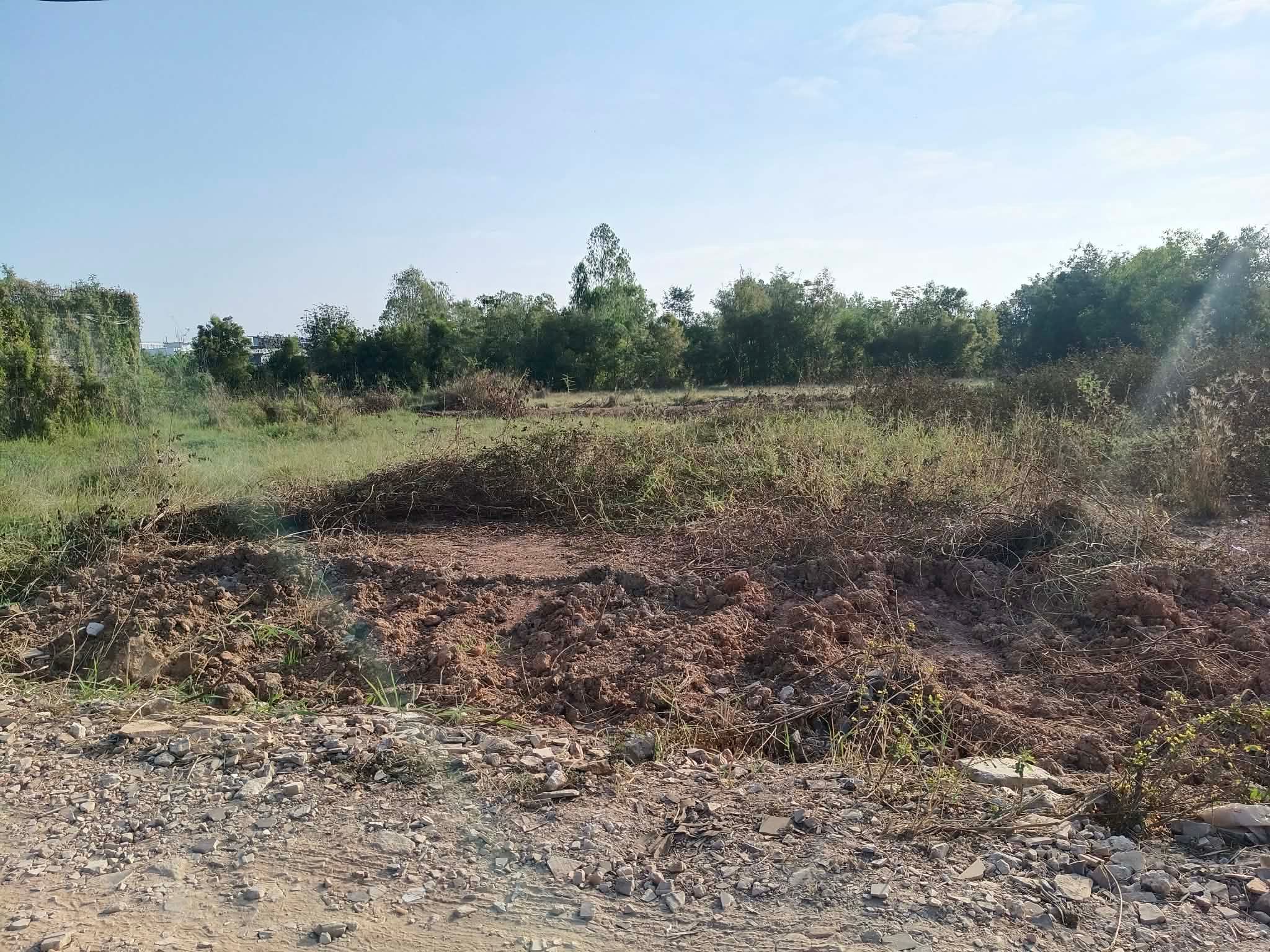 ขายที่ดิน พิษณุโลก อำเภอเมือง ถมบดอัดแล้ว