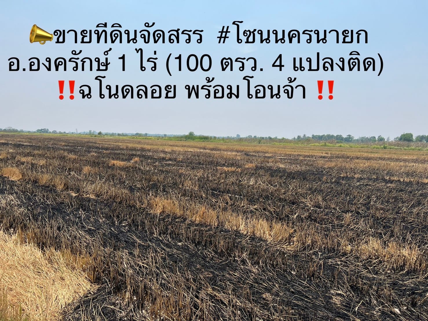 💥ฟรีค่าโอน💥 ขายที่ดินเปล่า โซนนครนายก อ.องครักษ์ 1 ไร่ (100 ตรว. 4 แปลงติด)