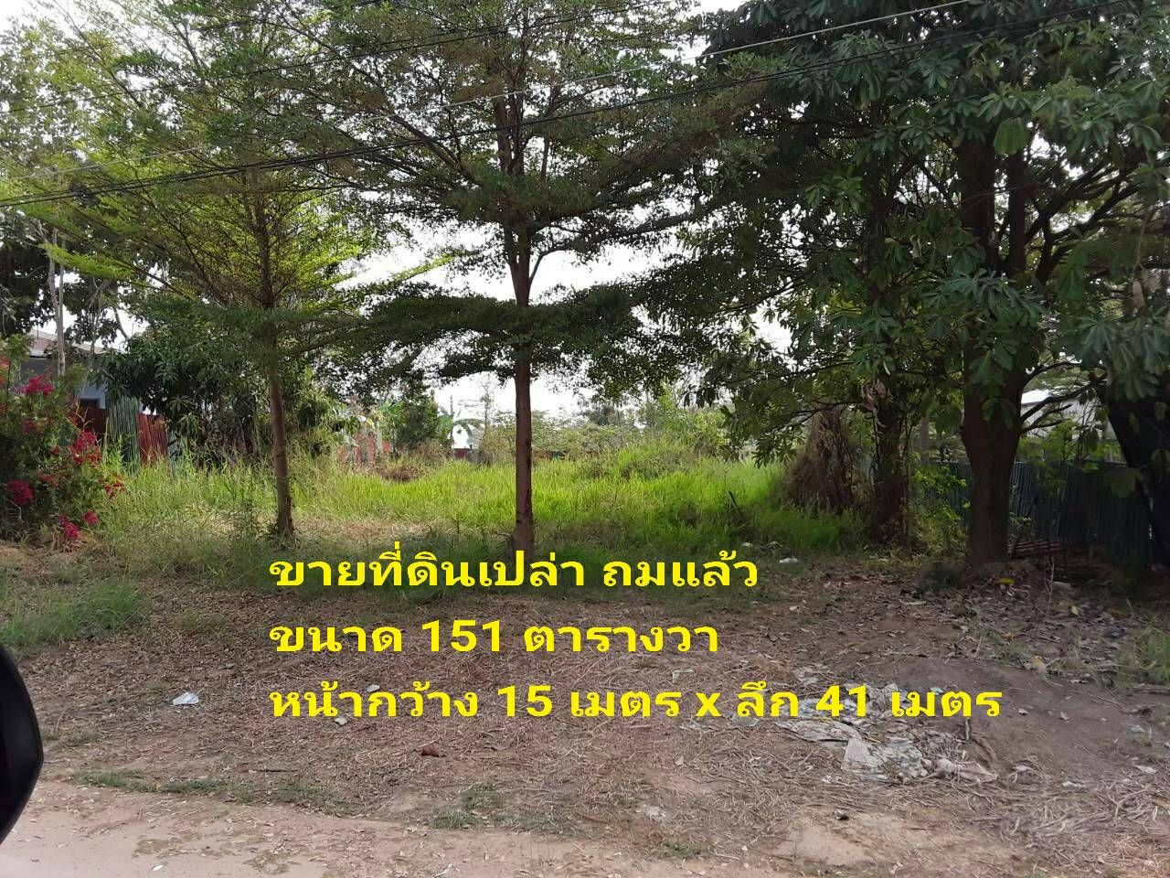 ขายที่ดินพิษณุโลก เมือง ถมแล้ว ๑๕๑ ตารางวา ใกล้อบต.สมอแข อ.เมือง จ.พิษณุโลก