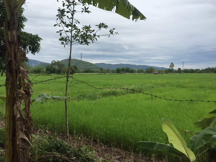 ขายที่ดินสวยทำเลดี หลายแปลง ใกล้ไร่เชิญตะวัน เชียงรายเริ่มต้นเพียง 6 แสนต่อไร่