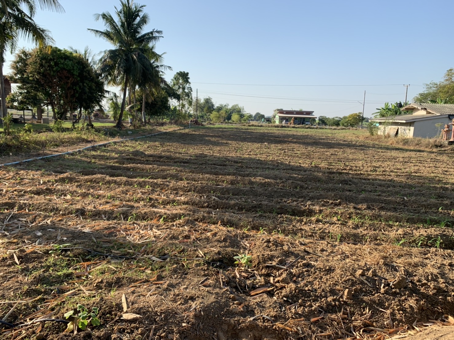 ที่ดิน นส.4 สุพรรณบุรี 1-3-40 