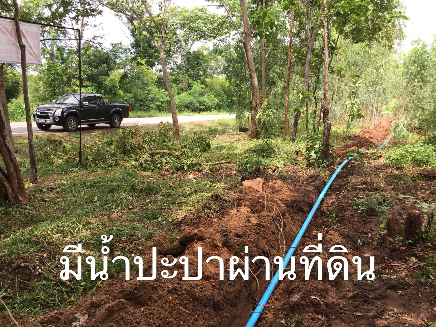 แปลงที่ดินสวยๆ ติดถนนสายหลัก จ.นครราชสีมา 3-2-42
