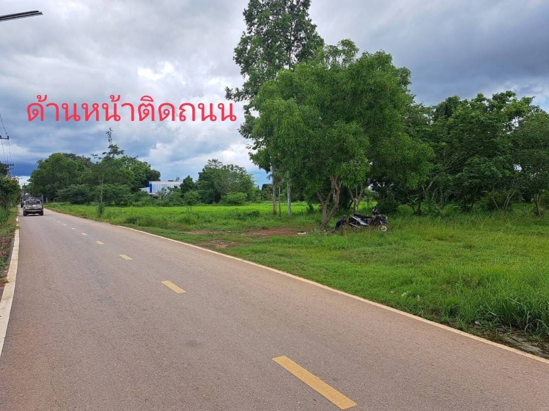 ขายที่ดินแปลงสวย หน้า-หลังที่ดิน ติดถนน