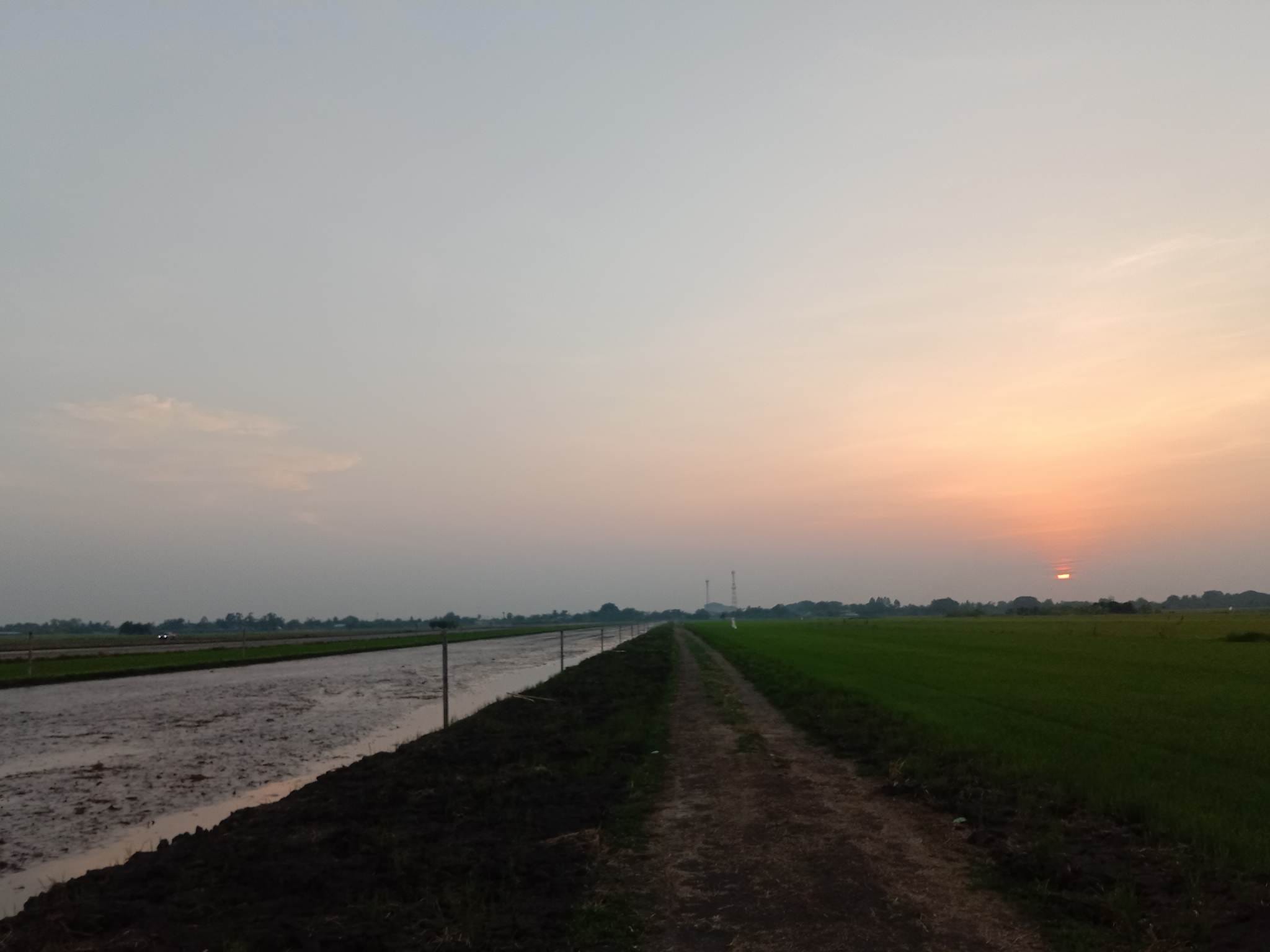 ที่ดินแบ่งขาย เริ่มที่ 1.6 ล้านบาท หนองเสือ ปทุมฯ 