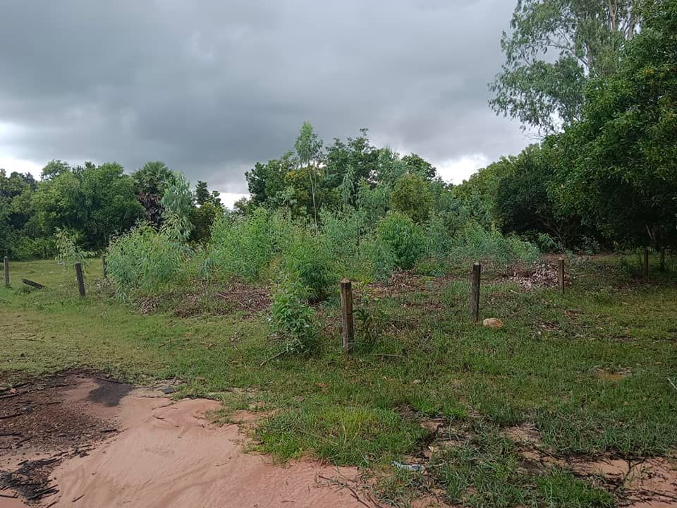 ขายที่ดินอุบลราชธานี อ.เมืองอุบลราชธานี 81 ตรว.