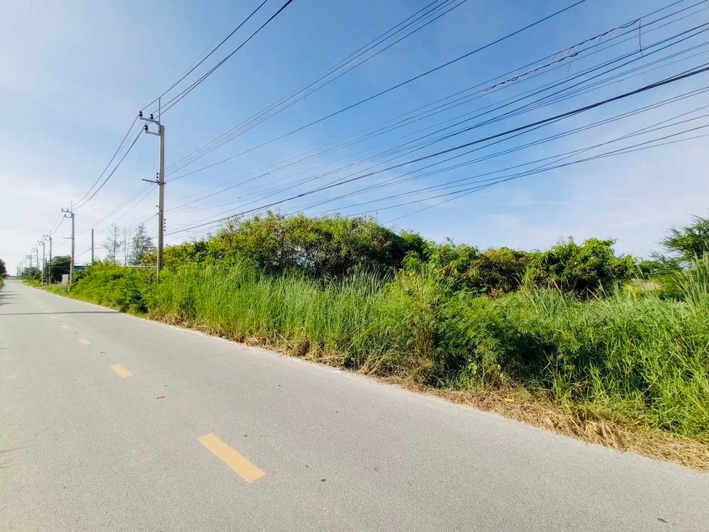 ขายที่บางเพรียง ต่ำกว่าราคาประเมิน