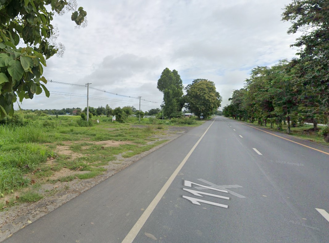 ขายที่ดินพิจิตร นางรอง 18-2-20