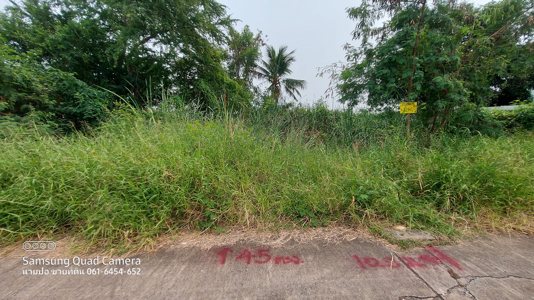 ที่ดินขนาด 45 ตรว. ต.บ้านใหม่ อ.บางใหญ่ จ.นนทบุรี 