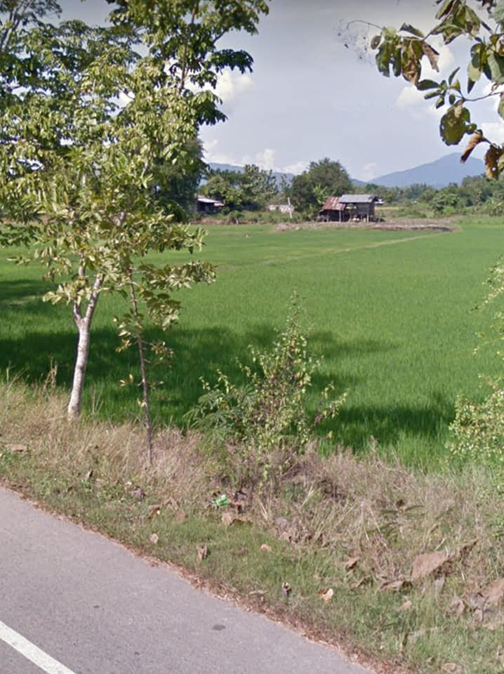 ที่นาวิวสวย อุตรดิตถ์ 1-3-93