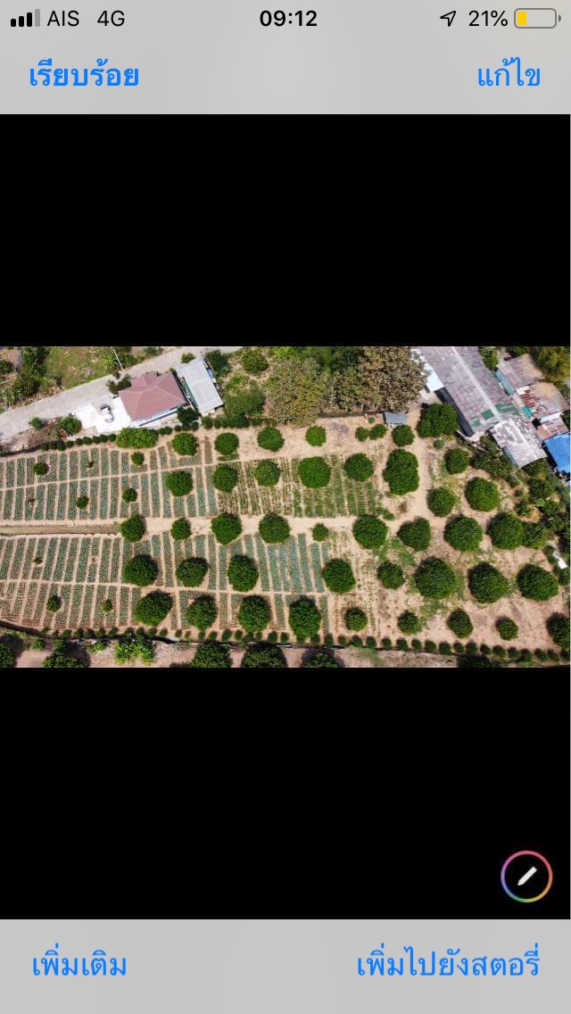 ที่ดินเปล่า สารภี เชียงใหม่ 1-0-0